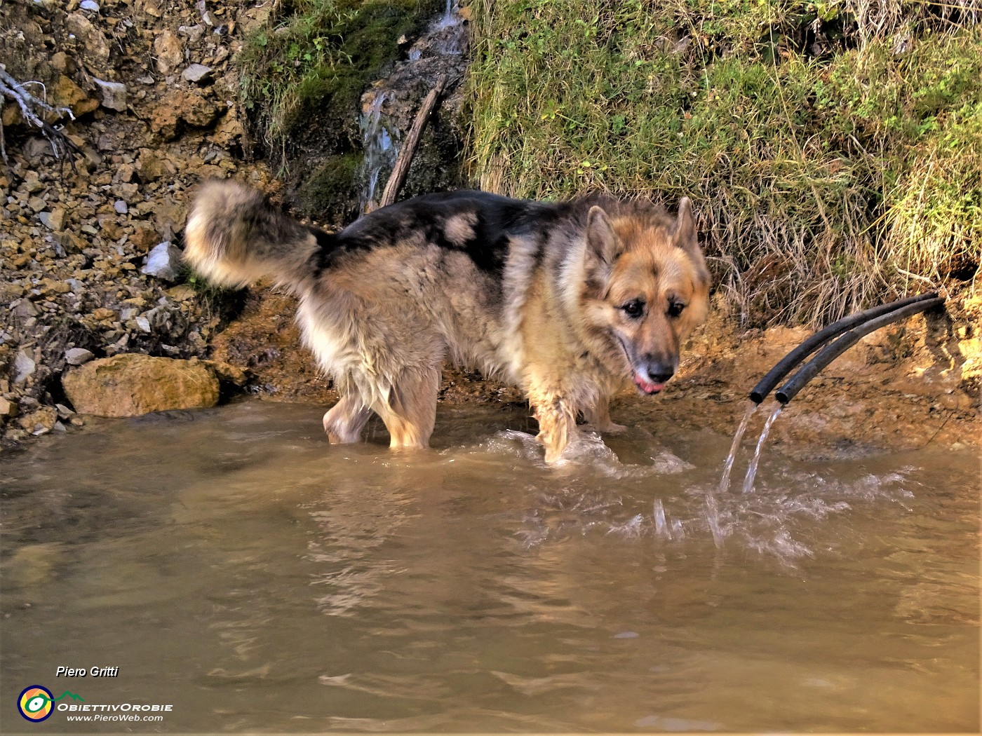 34 Buonissima acqua di sorgente.JPG